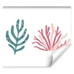 Vector collection of colorful corals. Underwater plants on white background . Vector illustration