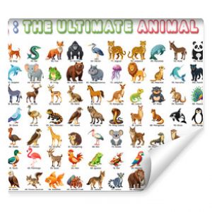 Set of animals collection arranged in alphabetical order from A to Z, Perfect for design and education and kids content.