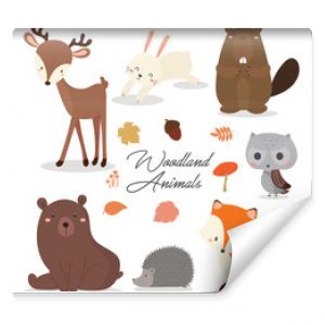 Set of cute illustration of woodland animals