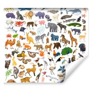 Zestaw ikon zwierząt Kreskówka zestaw ikon wektorowych zwierząt do projektowania stron internetowych