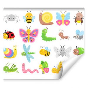 Cute insects. Big set of cartoon insects for kids and children. Butterflies, snail, spider, moth and many other