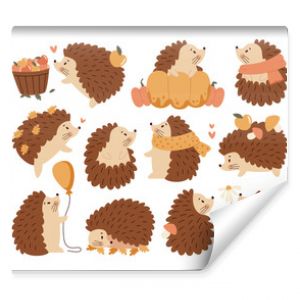 Different cute baby hedgehog autumn cartoon kawaii little wild forest animal character isolated set