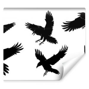 set of silhouettes of crow