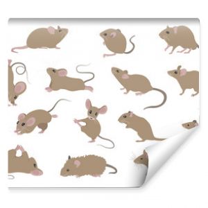 Different mice. Mouse yoga poses and exercises. Cute cartoon clipart set