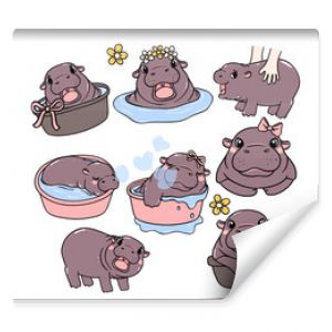 cute baby pygmy hippo bouncy pig cartoon character collection