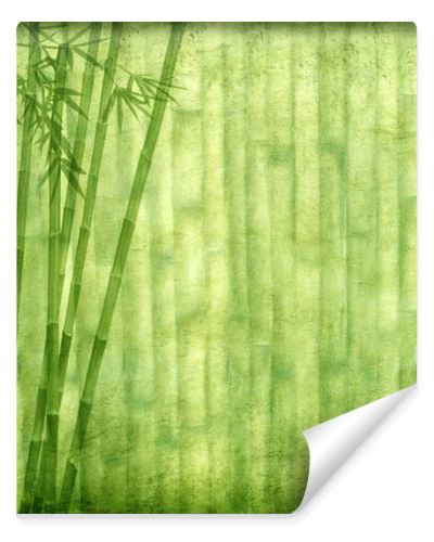 Bamboo on old grunge paper texture background