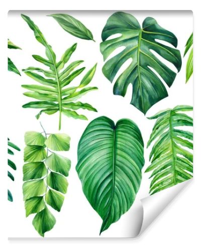 Collection of tropical leaves. watercolor isolated elements on a white background. Palm leaf