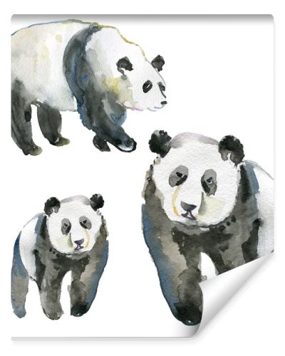 watercolor hand painted Pandas