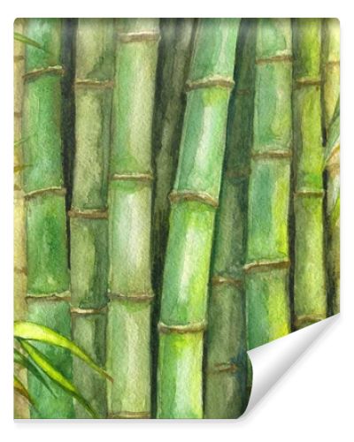 Green bamboo background.