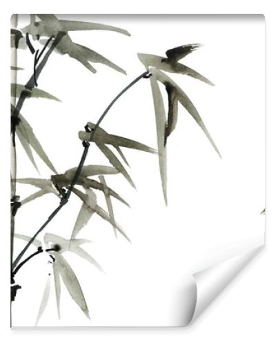 Watercolor illustration of bamboo with leaves on white background. Oriental traditional painting, sumi-e.