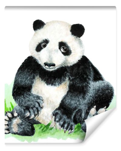 Panda cub sitting on grass on a white background, hand drawn watercolor illustration.