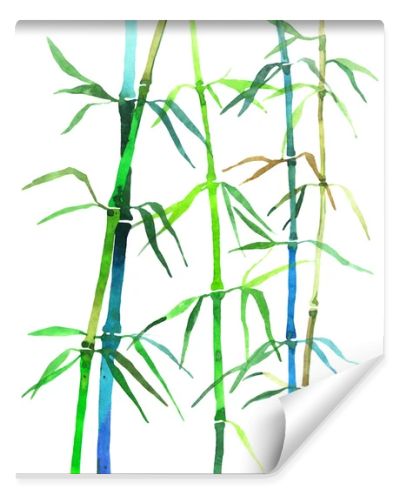 watercolor illustration bamboo