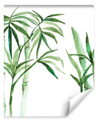 Watercolor bamboo illustration