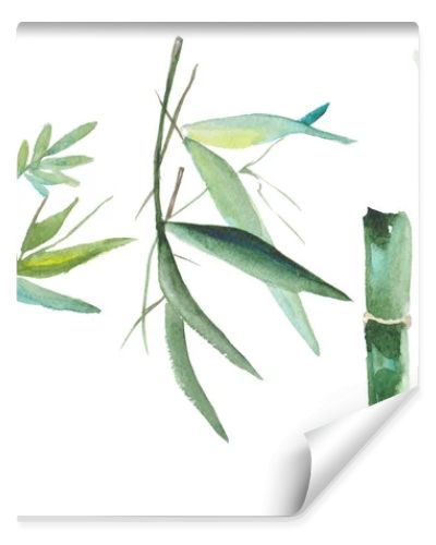 Watercolor bamboo illustration