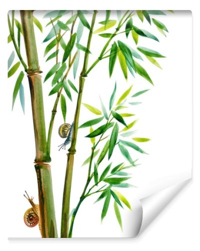Growing bamboo and snails, watercolor illustration on a white background, isolated. Bamboo is a symbol of longevity, oriental, Chinese painting of usin.