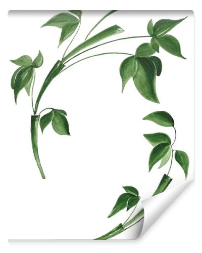 Isolated bamboo leaves on white background
