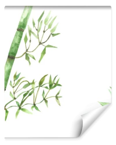 Watercolor hand painted nature eco tropical composition with green bamboo leaves on branches isolated on the white background, jungle plants illustration for design elements