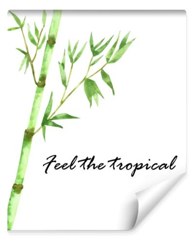 Watercolor hand painted nature eco asian composition with green jungle bamboo stem branch with leaves on the white background with feel the tropical text for design elements and cards