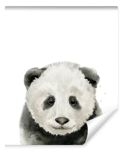 Baby panda portrait. Animal head. Watercolour illustration on white background.