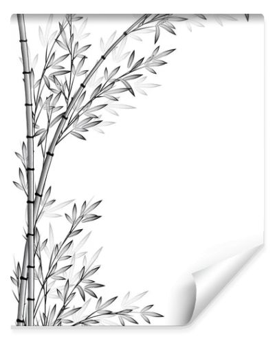 bamboo tree vector drawing