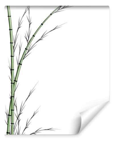 bamboo tree vector drawing