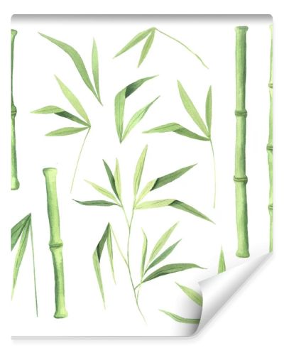 Watercolor green bamboo plant set