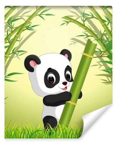 two cute panda in a bamboo forest