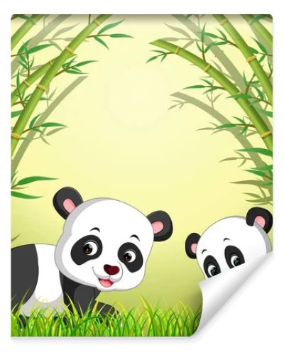 two cute panda in a bamboo forest