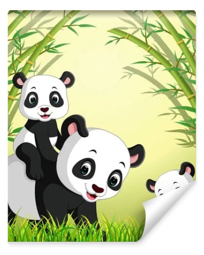 two cute panda in a bamboo forest