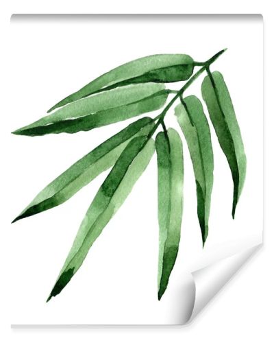 Tropical leaves bamboo tree in a watercolor style isolated.