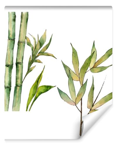 Bamboo tree in a watercolor style isolated.