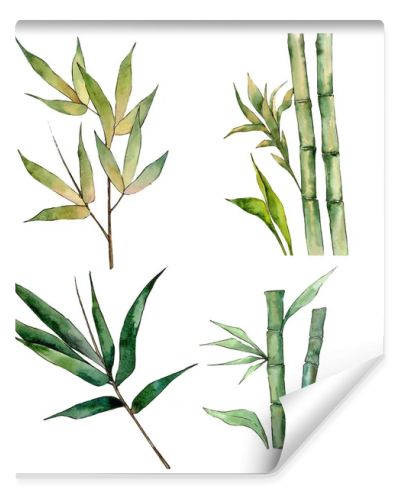 Bamboo tree in a watercolor style isolated.