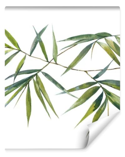 Watercolor illustration painting of bamboo leaves