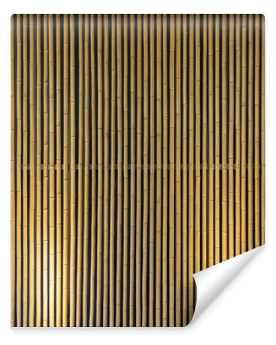 Bottom Lighting of Bamboo Wall.