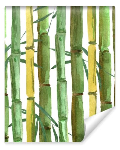 Hand-drawing bamboo background with leaves. watercolor illustration for design and decoration of cards, wallpapers, invitations.