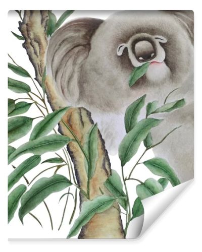 The watercolor shows a cute koala on a eucalyptus branch, she's eats leaves. Illustration executed in chinese style, isolated on white background.