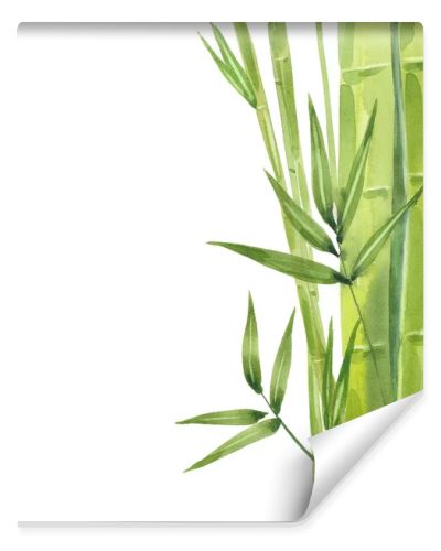 watercolor bamboo stalks