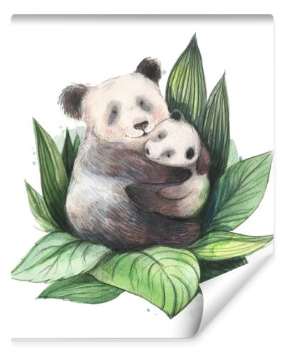 Panda family with adult mother and little bear. Watercolor illustration on a white background. Cute mom holding a little baby. Jungle, forest wildlife, zoo characters. Two pandas cuddle.