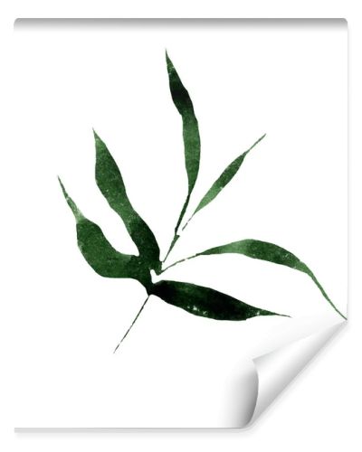 Isolated bamboo and bambooleavs illustration element. Watercolor background illustration set. Aquarelle isolated.