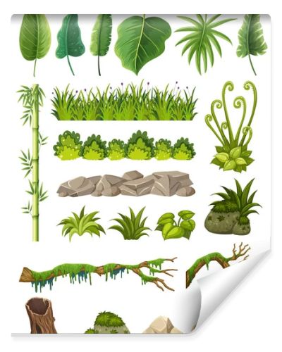 Set of various jungle objects illustration