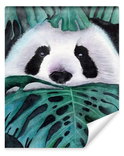Watercolor illustration of a cute white and black panda peeking out from green tropical monstera leaves
