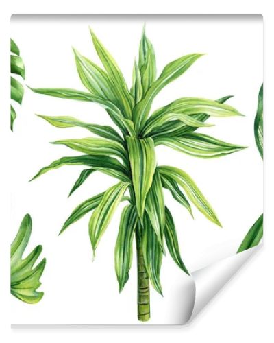 Tropical leaves set. Palms, Dracaena and monstera. Tropical plant, isolated white background, Watercolor illustration. High quality illustration