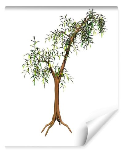 Bamboo tree