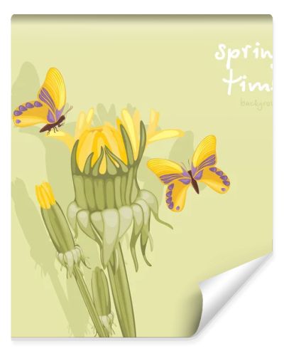 Dandelions and butterflies. Springtime background