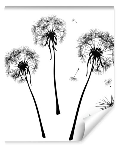 dandelions