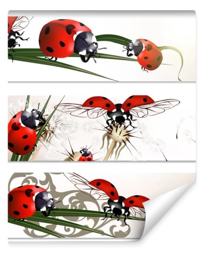 Business cards set with beetles in nature style