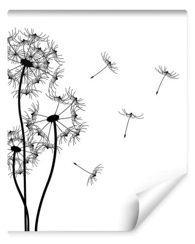 Vector dandelion