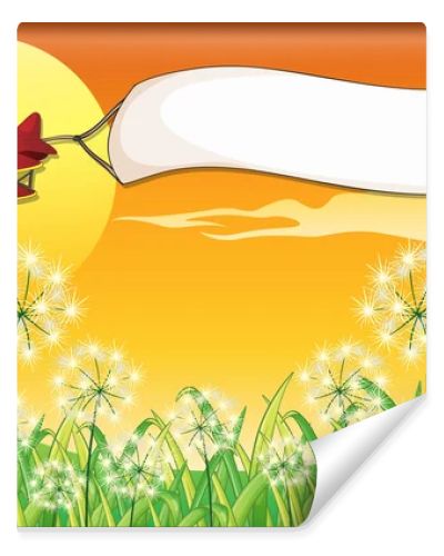 An airplane with the empty banner