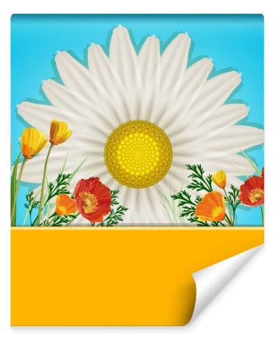 Beautiful card with daisies and poppies