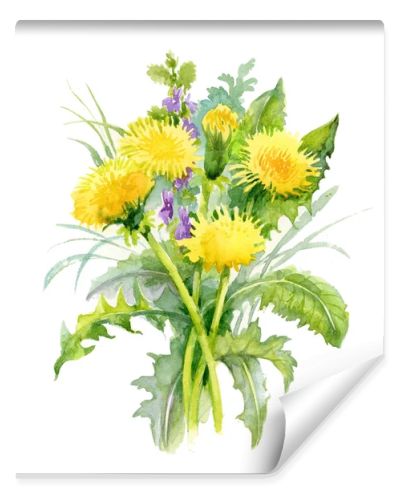 Watercolor dandelions